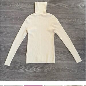 Everlane merino wool ribbed turtleneck sweater